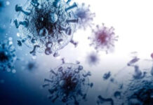 Descubren un extraño virus gigante que se reproduce como ningún otro conocido