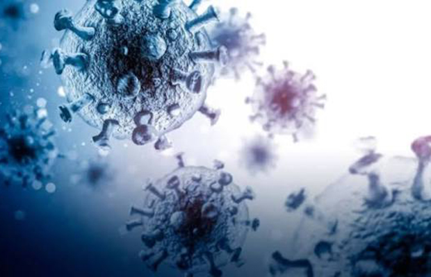 Descubren un extraño virus gigante que se reproduce como ningún otro conocido