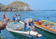 Entregan créditos para potenciar nivel de pesca en Nueva Esparta