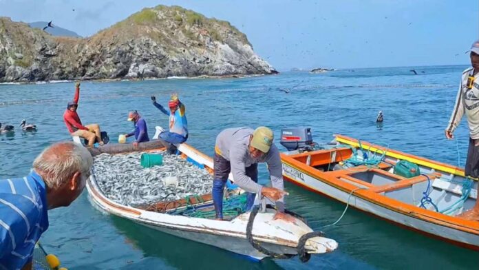 Entregan créditos para potenciar nivel de pesca en Nueva Esp