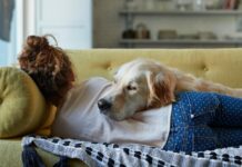 Estudio afirma que dormir con un perro es más saludable que con un gato