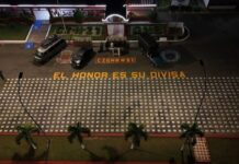 FANB incauta tonelada y media de sustancias psicotrópicas durante últimos meses en Táchira