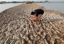FAO y PMA instan a donar $202 millones para proteger a 22 países del fenómeno El Niño