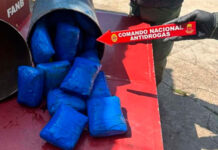 GNB decomisó 44 panelas de drogas en diferentes operativos