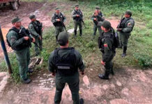 GNB recupera 20 búfalos hurtados en Zulia