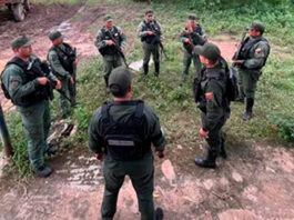 GNB recupera 20 búfalos hurtados en Zulia