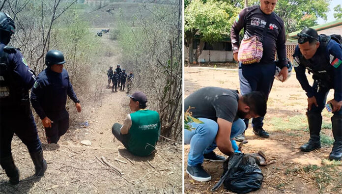 Hallan-a-dos-cachorras-degolladas