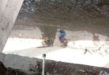 Hombre de 67 años cae al río Guaire tras intentar orinar