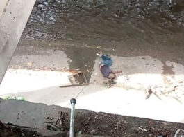Hombre de 67 años cae al río Guaire tras intentar orinar