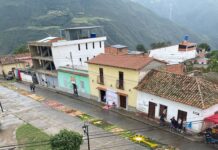 Honran a Corpus Christi con alfombras de flores