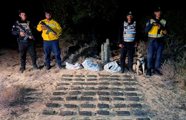 Incautados-43-kilos-de-marihuana-en-zona-boscosa-de-la-costa-de-Falcón