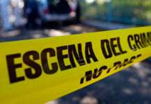 ¡Insólito! Hijo mata a su madre de 70 años y simula un suicidio
