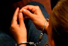 Interpol capturó en Colombia a mujer que estafó a Cantv
