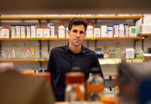 Investigador español abre una vía innovadora para descubrir nuevos antibióticos