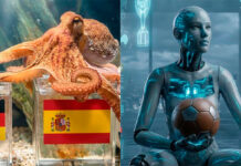 La IA toma el relevo del Pulpo Paul en predicciones mundialistas