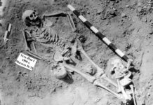 La cepa más antigua de la peste era muy letal y provocó brotes mortales hace 5.500 años