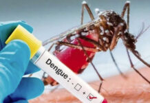 La vacuna del dengue se demuestra segura en personas viajeras de regiones no endémicas