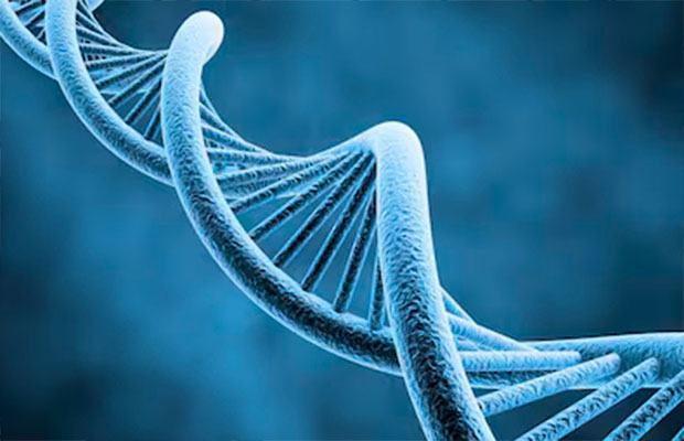 Los-científicos-identifican