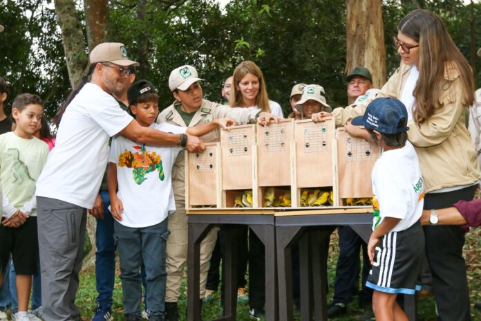 Minec libera más de 400 aves rescatadas del tráfico ilícito