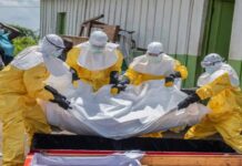 OMS: Más de un centenar de muertes por ébola en República Democrática del Congo