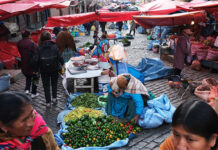 OMS advierte que contaminación alimentaria causa 1,5 millones de muertes globales cada año