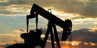 OPEP produjo en mayo 18,8 milones de barriles diarios, un 34 % menos que en febrero