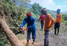 PC Aragua despejó vialidad hacia Ocumare de la Costa en tiempo récord