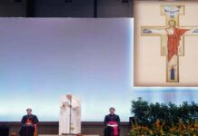 Papa critica la «lógica del interés y del lucro» en encuentro con miles de voluntarios