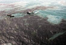 Pescadores de Paria pierden 11 toneladas diarias de pescado por derrame en Trinidad
