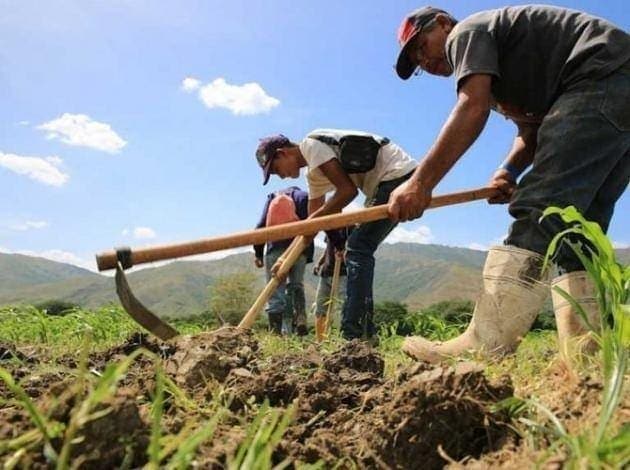 Productores agrícolas piden condenas ejemplarizantes para detener criminalidad
