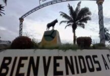 Productores agropecuarios denuncian que pasan hasta 30 horas sin servicio eléctrico en Táchira