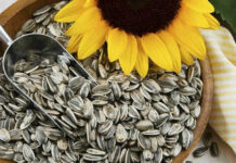 ¿Qué beneficios tienen las semillas de girasol?