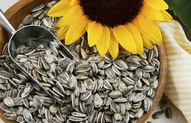 Qué beneficios tienen las semillas de girasol