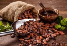 El Hatillo apuesta por producción de café y cacao