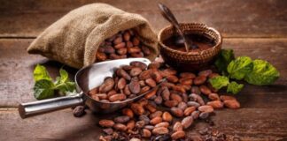 El Hatillo apuesta por producción de café y cacao