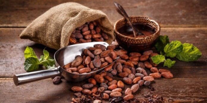 Sector cacaotero propone distribución equitativa de beneficios del rubro