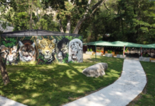 TOM y Zoológico Las Delicias se activan como Centro de Acopio oficiales en Maracay