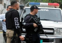 Un hombre asesina a su cuñado con un machete tras discusión familiar en La Guaira