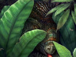 Una ‘Pompeya’ de plantas en Nuevo México revoluciona la historia de las plantas con flores