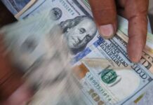Banca nacional inicia la venta de dólares físicos tras la llegada de billetes desde USA, según Asdrúbal Oliveros