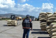 Exportan 24 toneladas de café verde a Türkiye desde el estado Lara