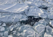 Adiós ‘pausa’: el hielo invernal del Ártico vuelve a disminuir drásticamente