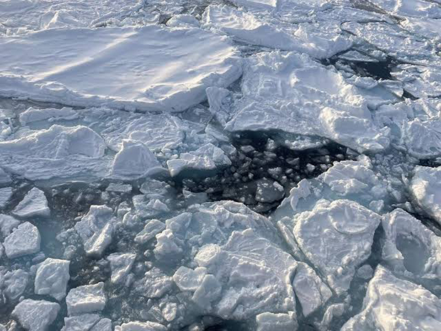 Adiós ‘pausa’ el hielo invernal del Ártico vuelve a disminuir drásticamente