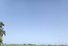 Advierten que el mal manejo financiero hace «inviables» a unidades de producción eficientes en el campo