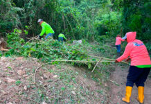 Alcaldía de Revenga desplegó jornada integral de mantenimiento en el sector La Gruta