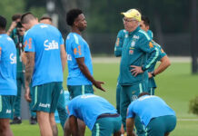 Ancelotti cree que la selección «no necesita» astros, sino jugadores que aporten al equipo