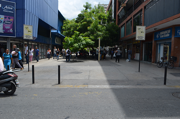 Aragueños en alerta ante presencia de Hantavirus en el país - REGIÓN