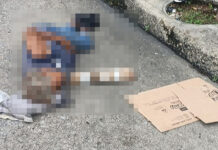 Arrollada adulta mayor en situación de calle en Valencia