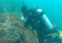 Avanza la lucha contra el coral invasor en las costas venezolanas