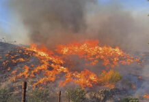 Bélgica trabaja para contactar a sus nacionales afectados por el incendio en Almería